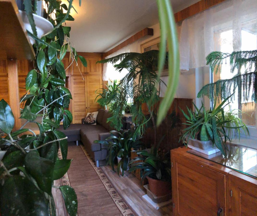 Apartman Olesnik Appartement Buitenkant foto